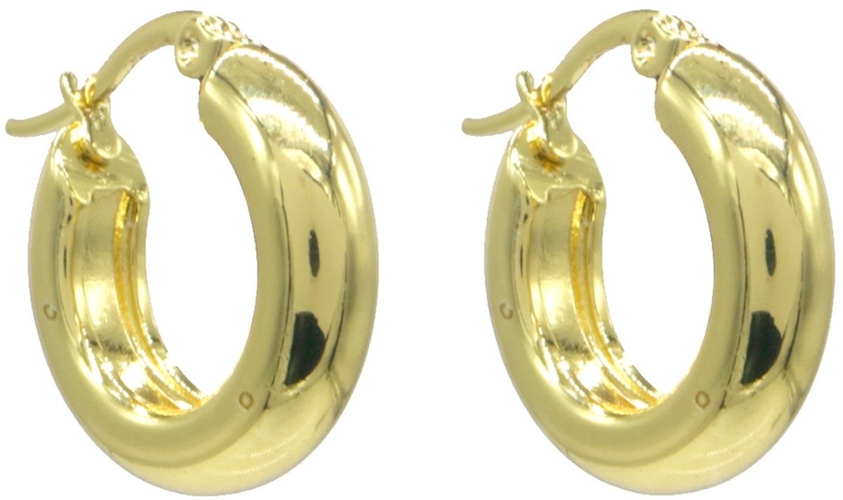 Oorringen - RVS - goudkleurig - 20 mm - dames