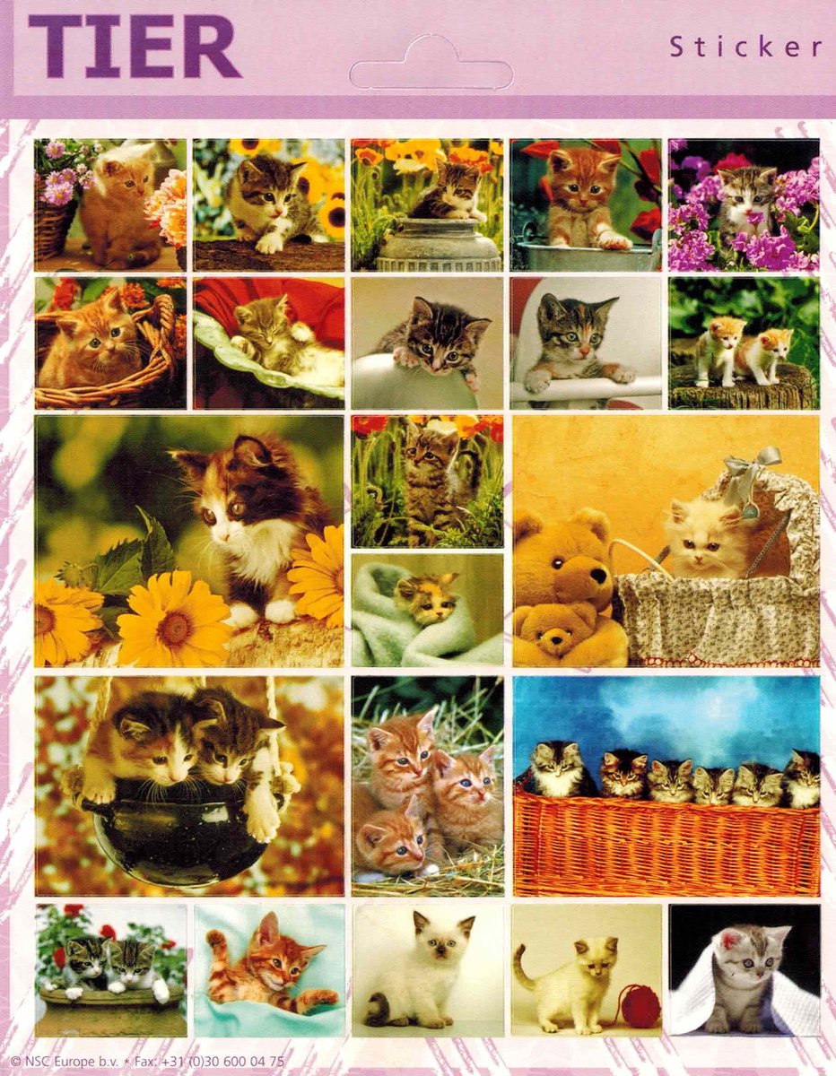 Dieren Stickers - Katten / Poesjes - Set van 3 vellen