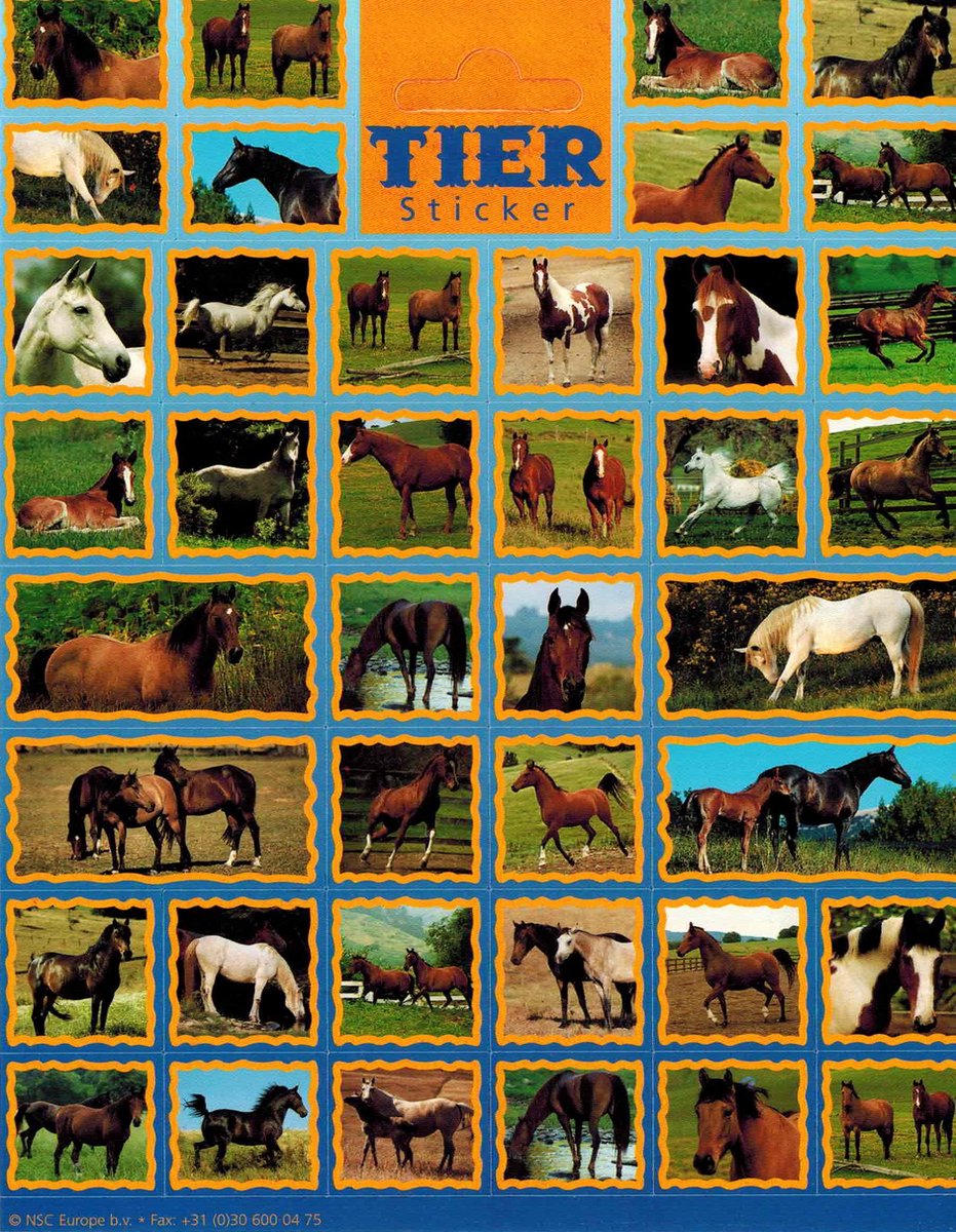 Dieren Stickers - Paarden en Ponys - Set van 3 vellen
