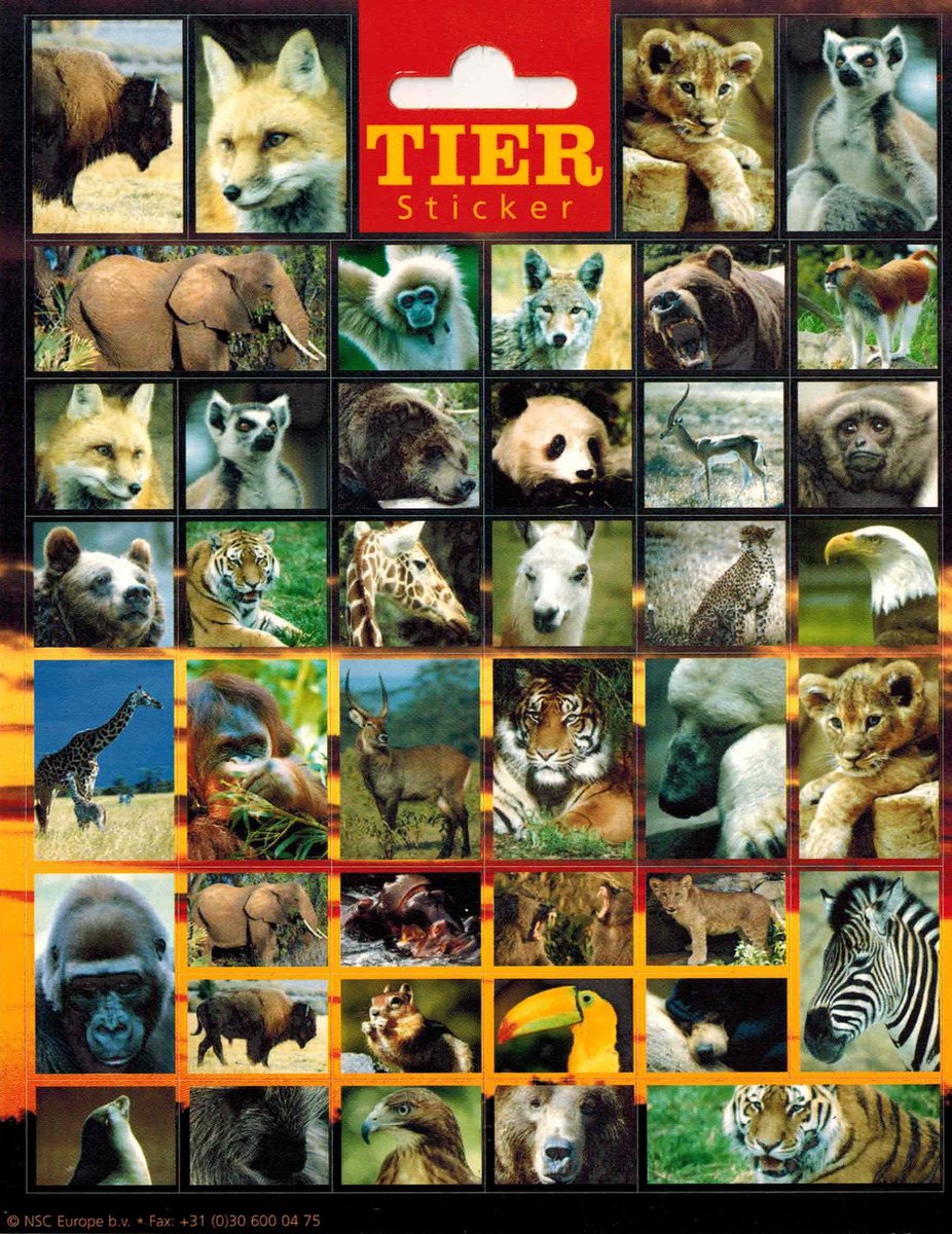 Dieren Stickers - Wild Life - Set van 3 vellen