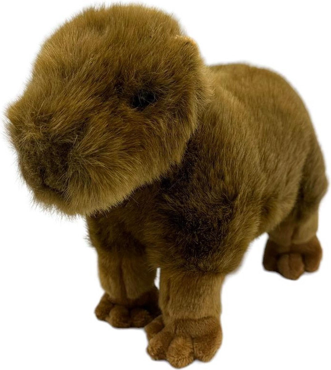 Capybara knuffel - 32 cm - Pluche