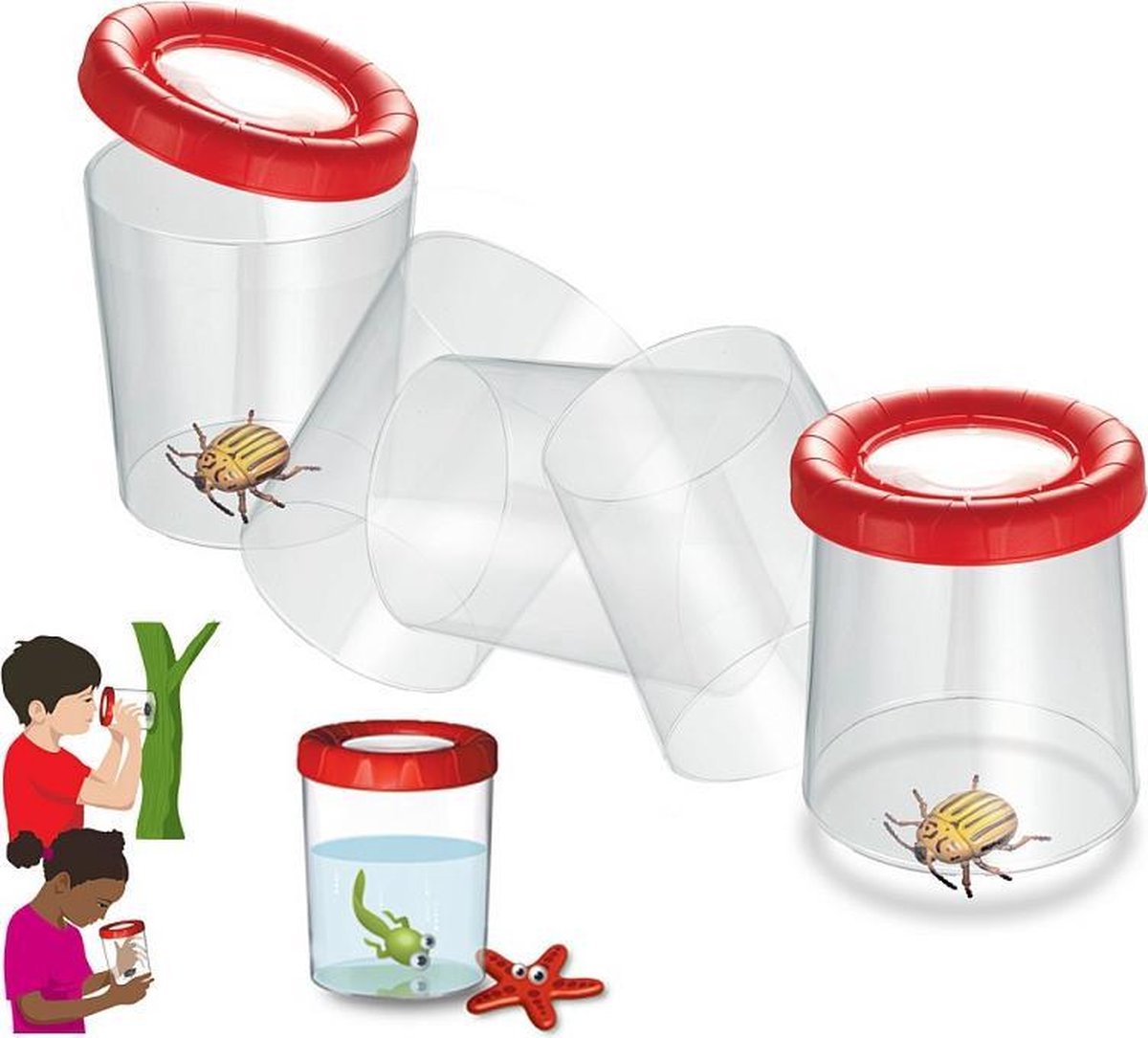 Grote insecten onderzoek pot