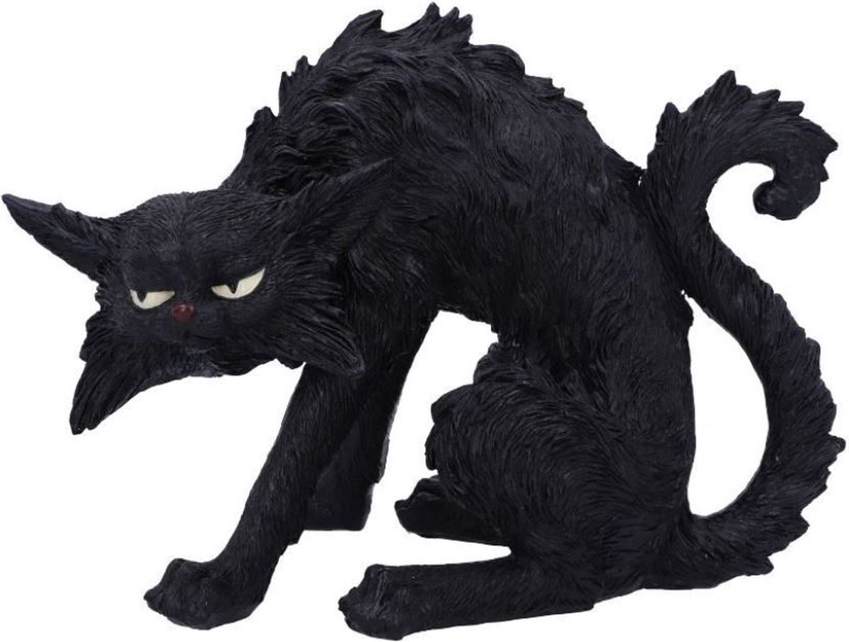 Nemesis Now Salem Unisex beeld - Neutraal - Standard