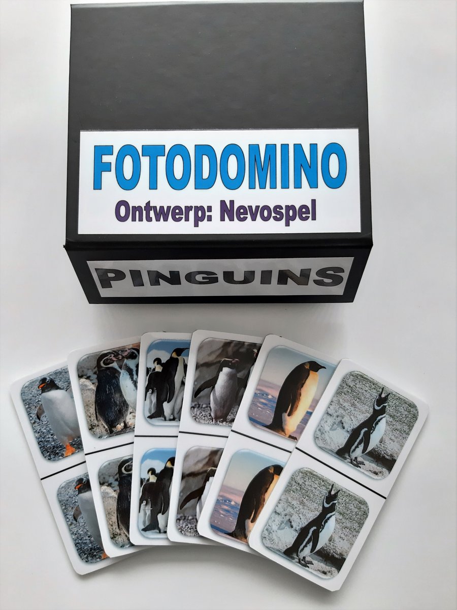 Dementie? FotoDomino Pinguins