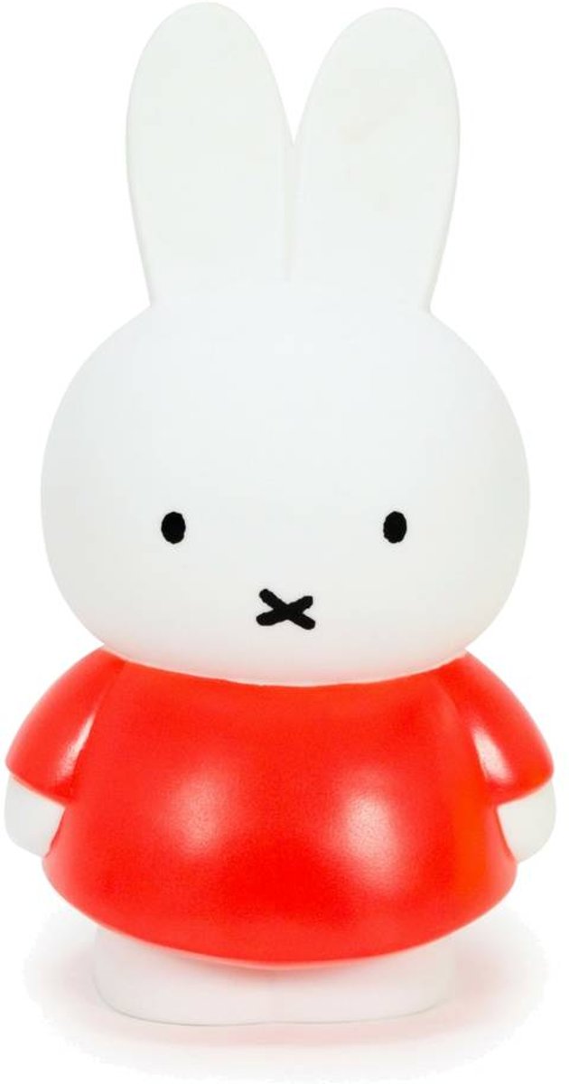 NIJNTJE Spaarpot Groot Oranje