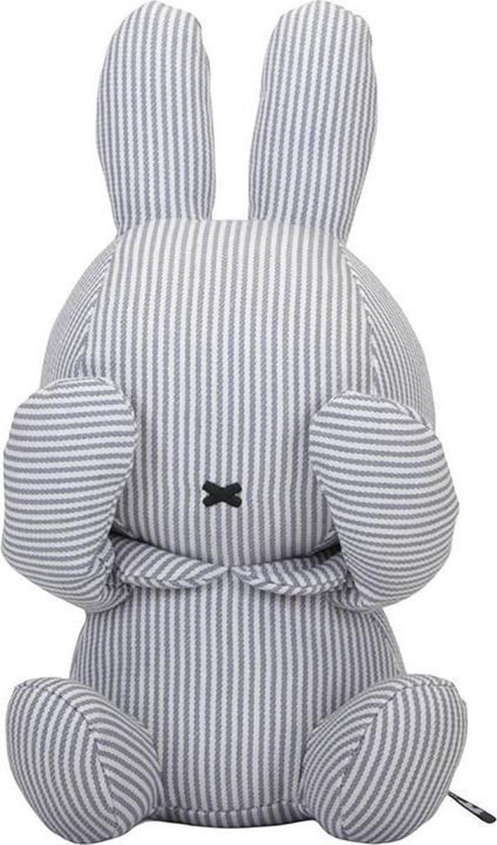   Fun at sea Kiekeboe nijntje