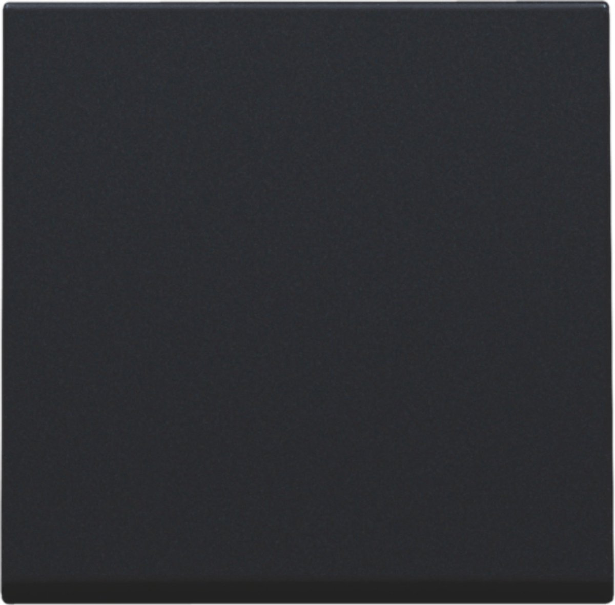   Bedieningselement/Centrale Plaat Schakelmateriaal - 161-31002 - E2CBH