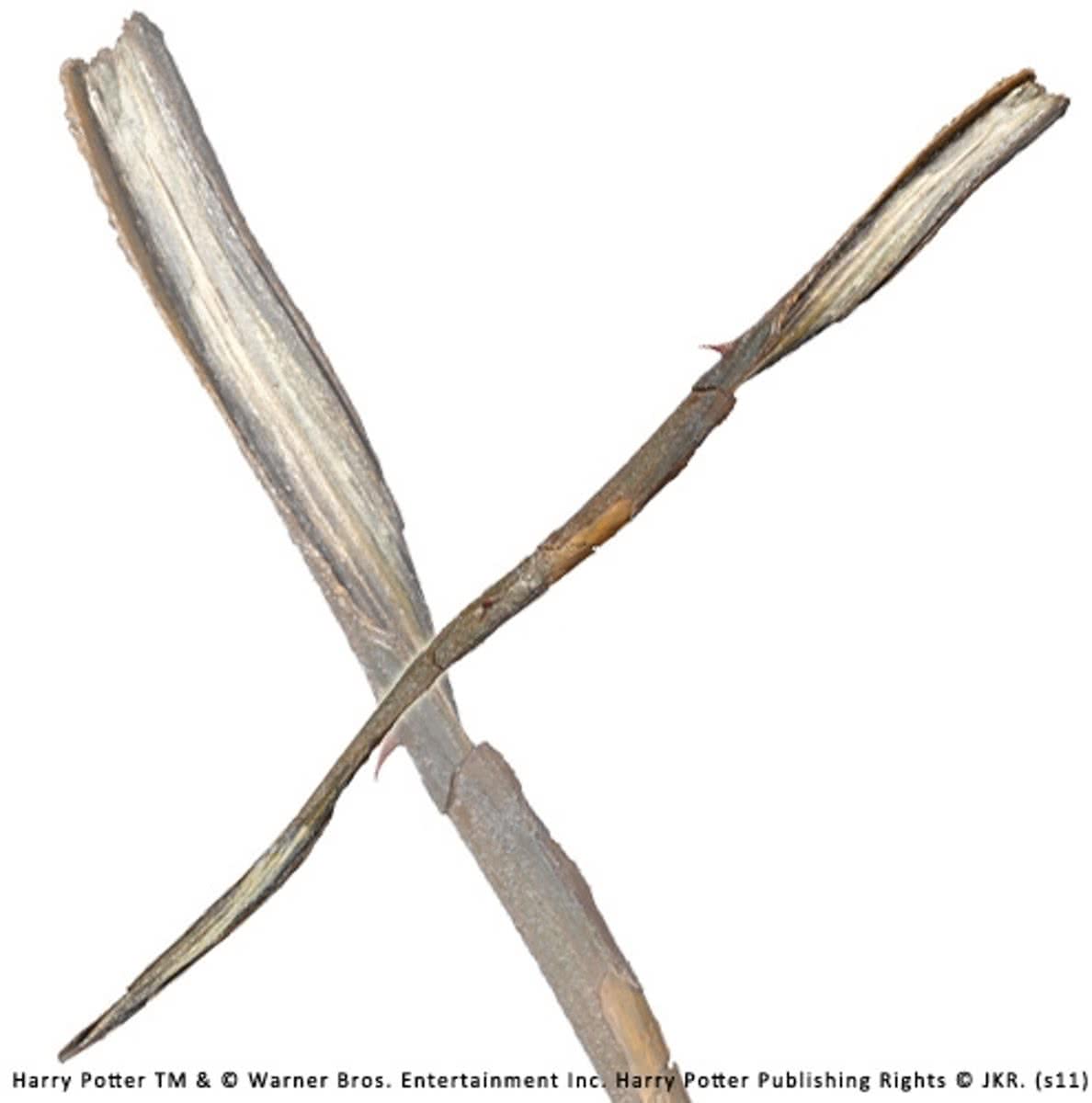 Gellert Grindelwald Character toverstaf