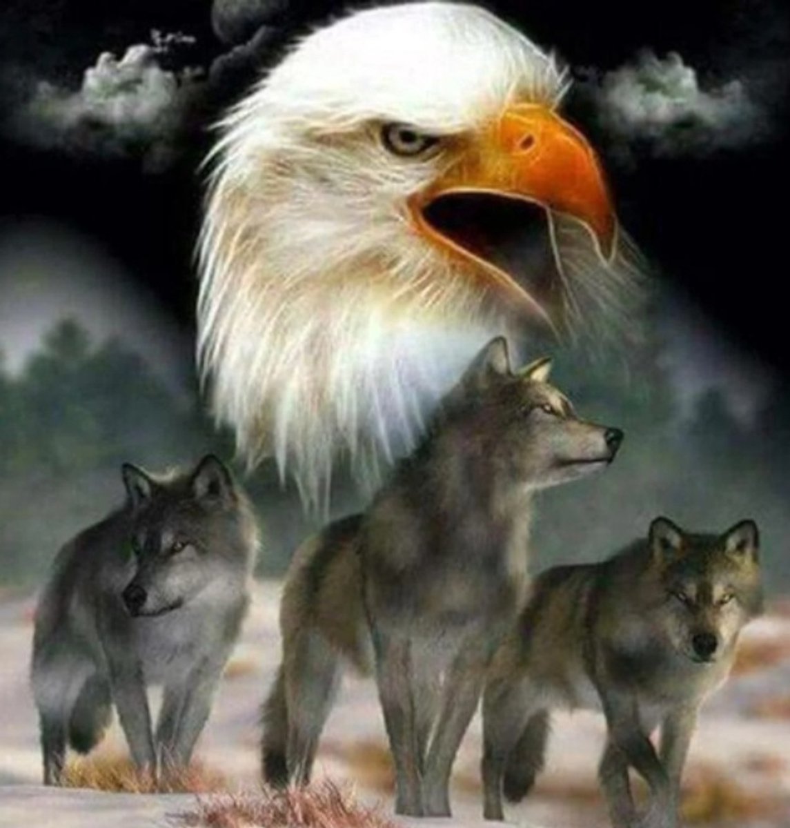 R-C7.1 DP2545030 Diamond Painting Canvas 40x30cm - Painting 35x25cm Eagle