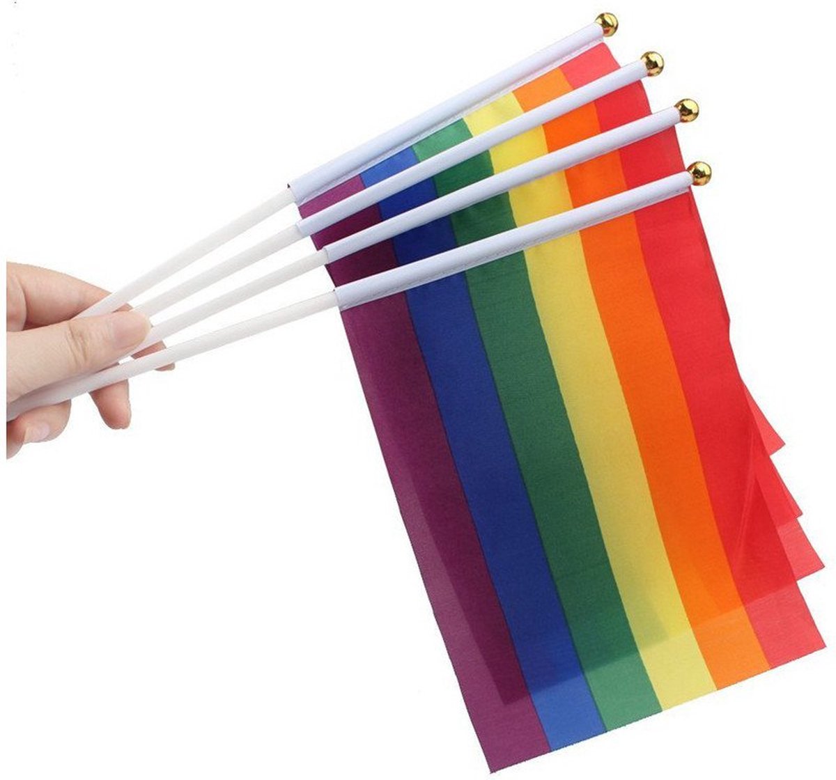 Trotsvlag / Regenboogvlag