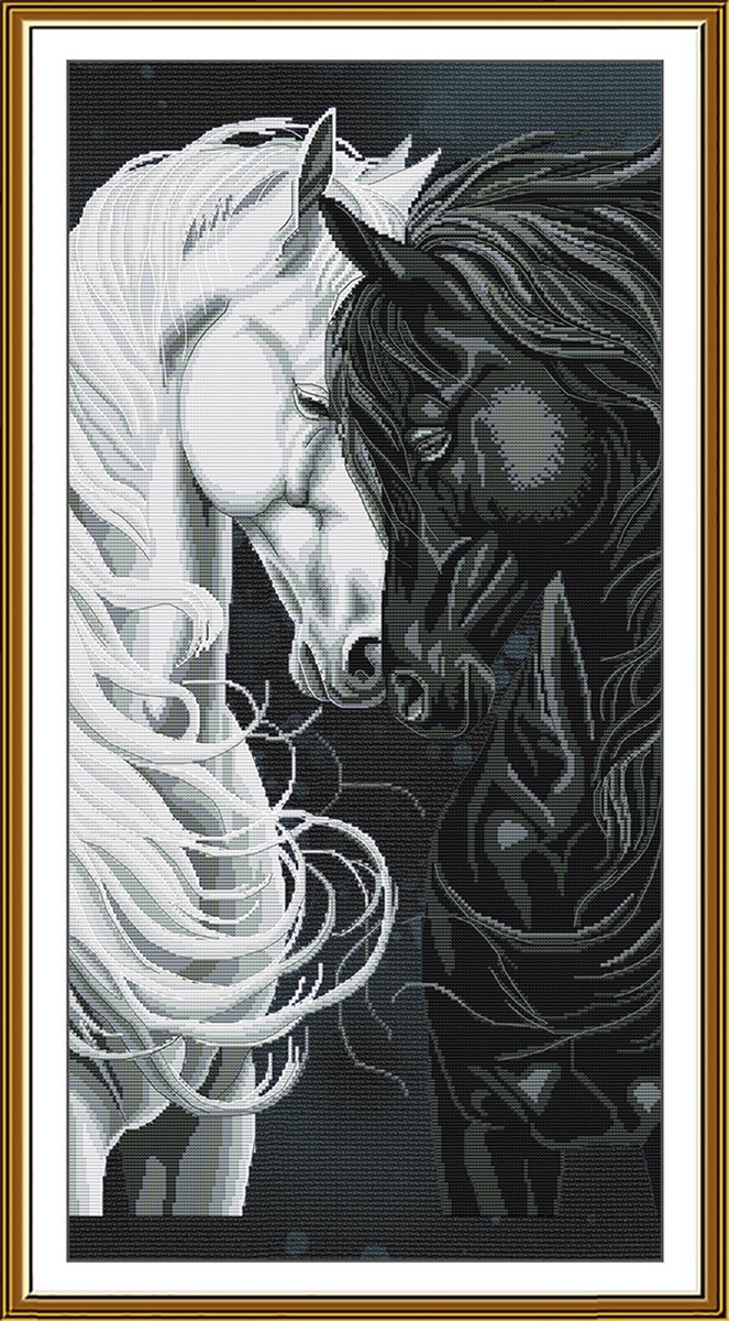 Borduurpakket Nova Sloboda - Day and Night - Dag en Nacht - bewerkte aida zwart