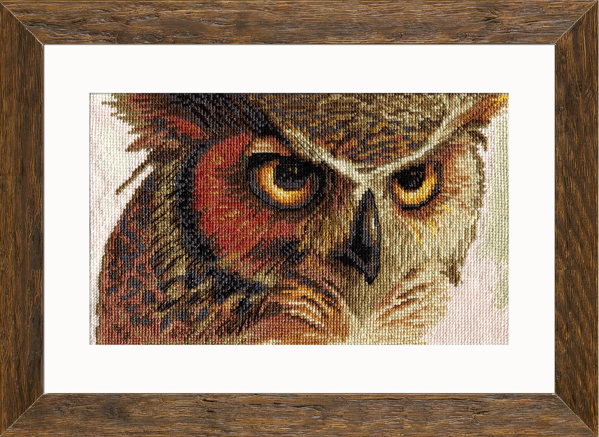 Borduurpakket Nova Sloboda - Owl - Uil - 14 count