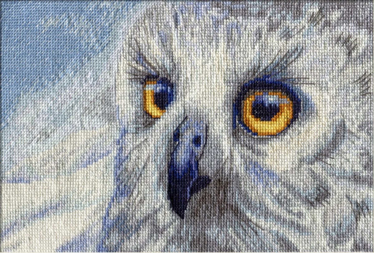Borduurpakket Nova Sloboda - Snowy Owl - Sneewuil - 14 count