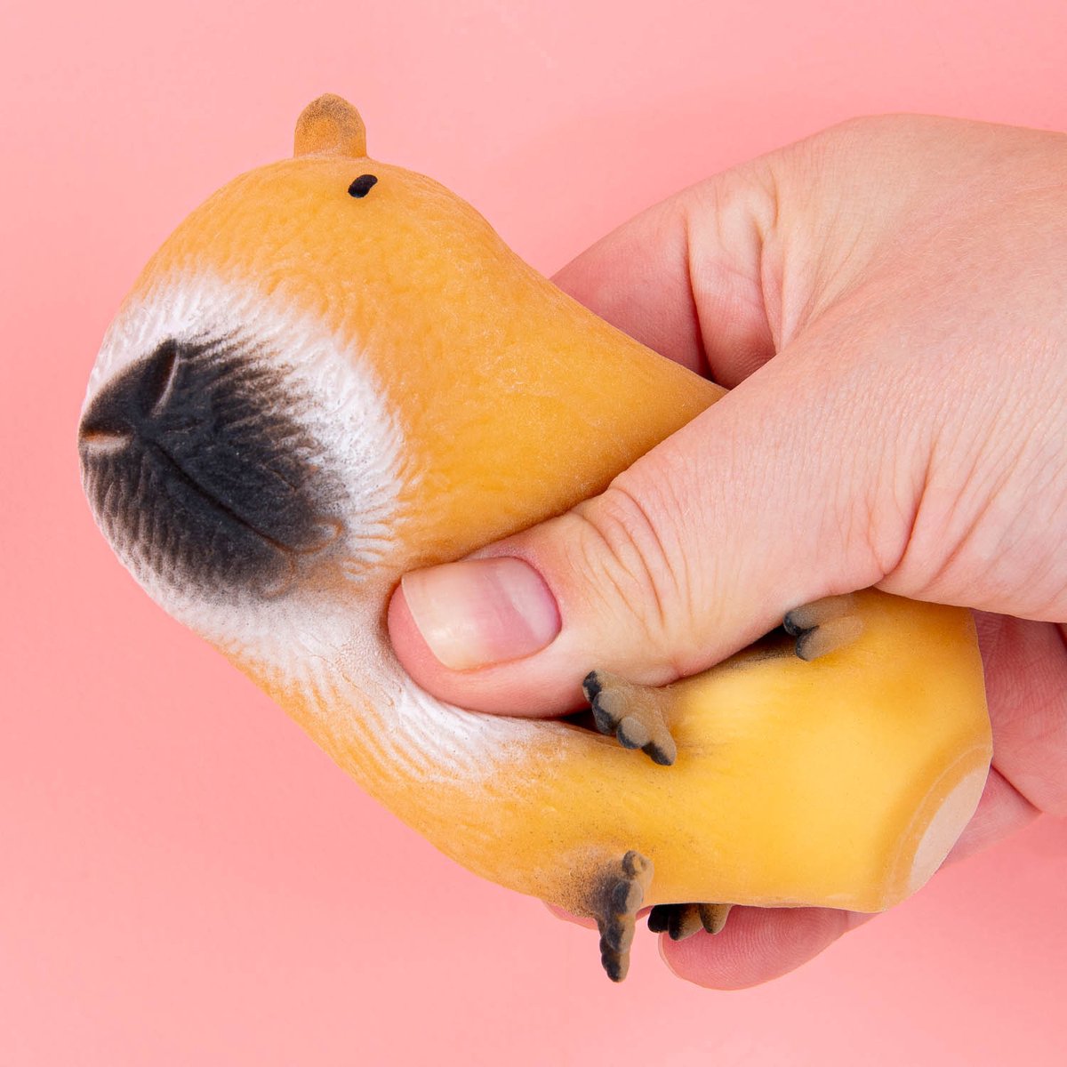 OOTB Capibara stressbal