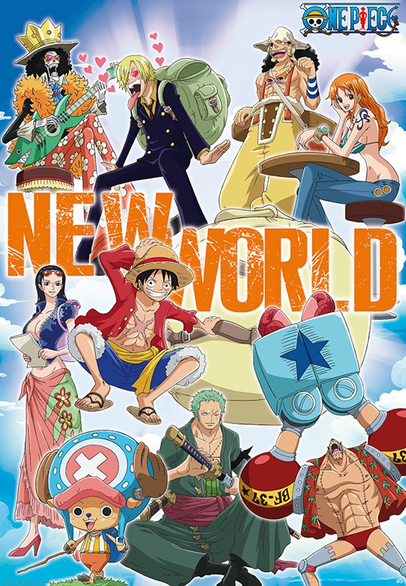 One Piece Poster New World Team