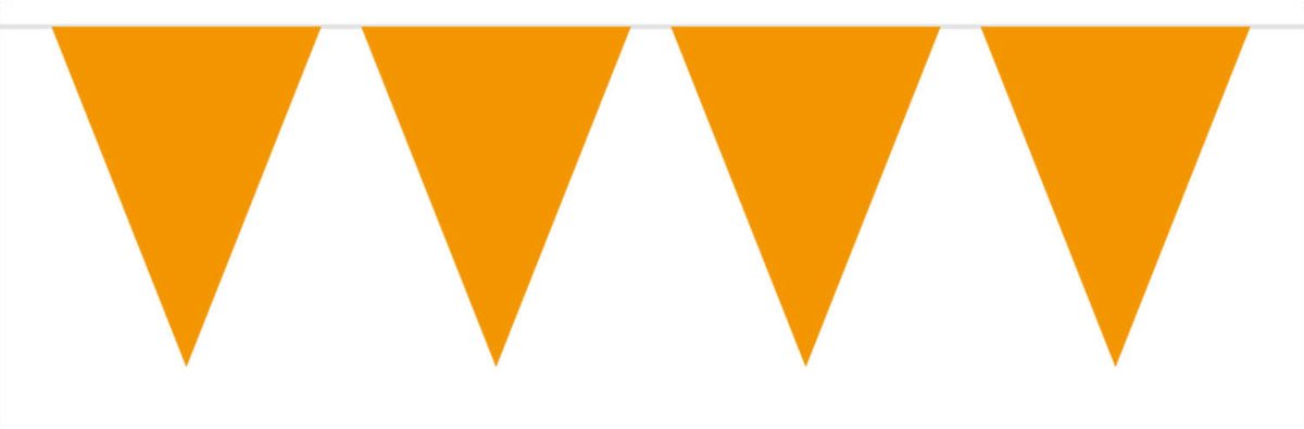 Oranje vlaggenlijn - slinger - 5 meter - plastic - binnen en buiten - 10 vlaggetjes - Koningsdag/holland