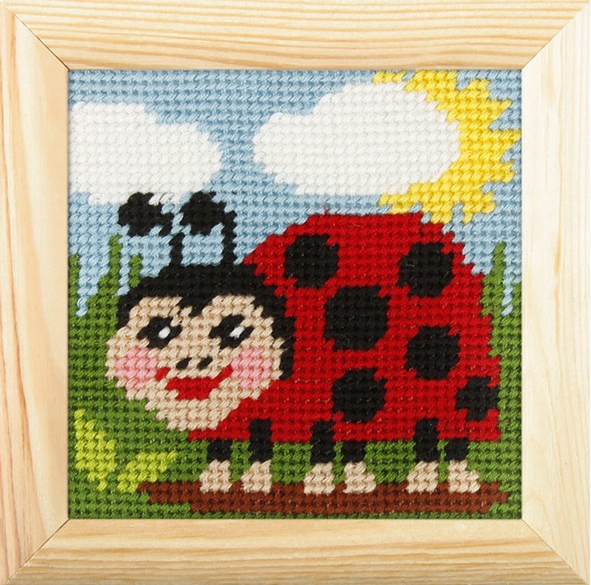 Borduurpakket voor kind - met lijstje - Orchidea - Lieveheersbeestje