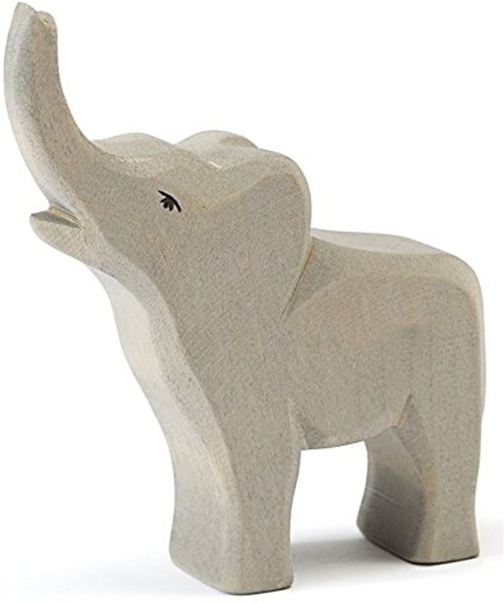 Ostheimer Elephant smal trumpeting new