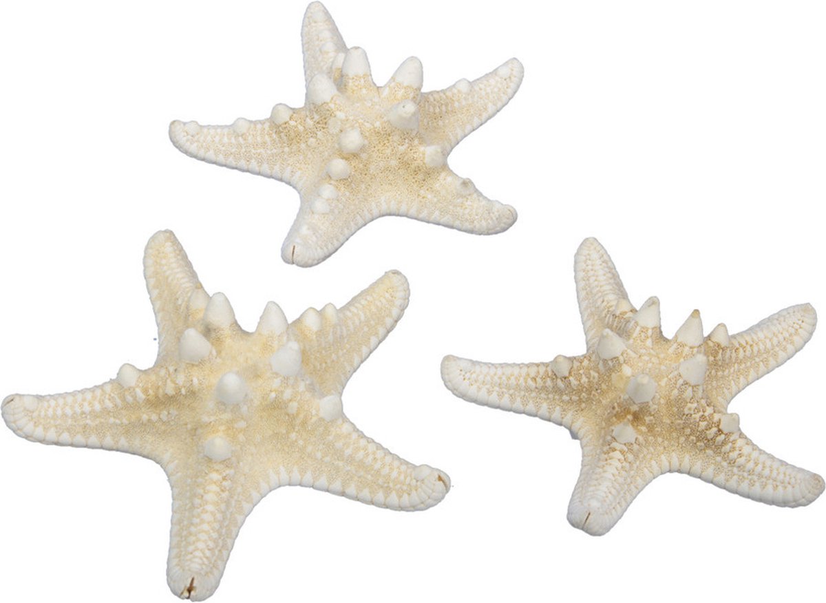 Othmar Decorations Decoratie zeesterren - 32x stuks - naturel white - 7-10 cm
