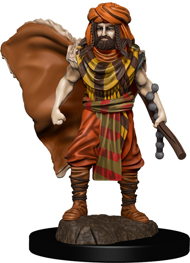 Dungeons and Dragons Icons of the Realms - Human Druid Male
