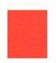 Papier a4 rood 160 gram