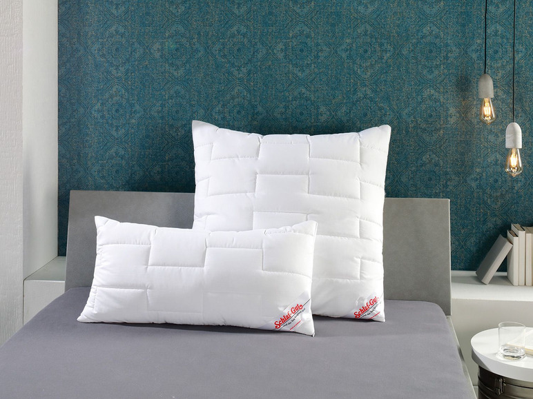 Schlaf-Gut Kussen Utah (niet geïdentificeerd)