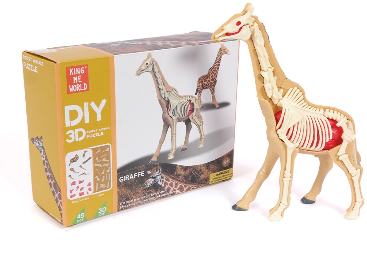 PIA Soft Toys - 3D Anatomie - Giraf