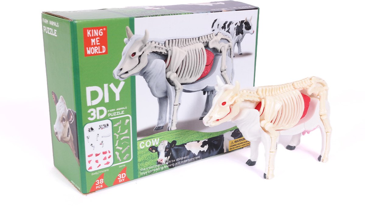 PIA Soft Toys - 3D Anatomie - Koe