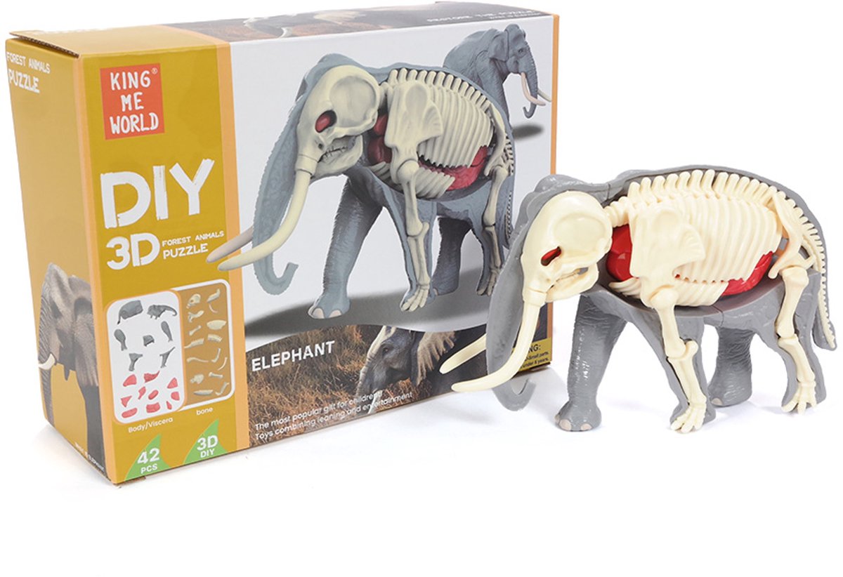 PIA Soft Toys - 3D Anatomie - Olifant