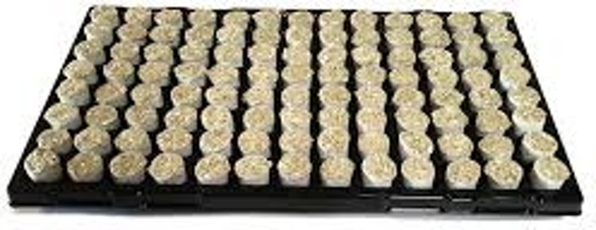 Paperbus steenwol pluggen Ø 28 mm zacht