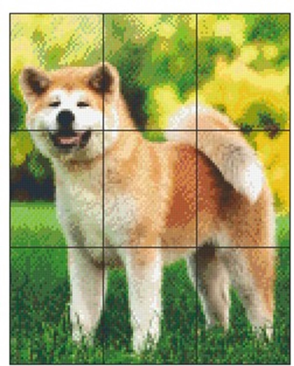 PIXELHOBBY AKITA - 9PLATEN - 177MATJES