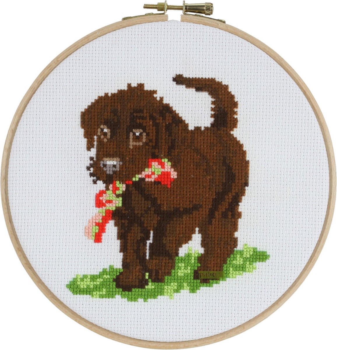 Pako Borduurpakket - voorbedrukt Aida - grappige puppy - 289.021 - voorgesorteerd garen - 17 cm Rond - DIY kit