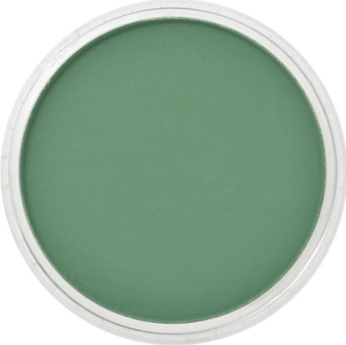 PanPastel Pastelnap Permanent Green Shade 9 ml