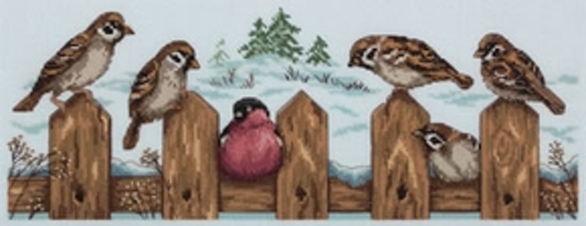 Borduurpakket  vogels op een hek met telpatroon PANNA