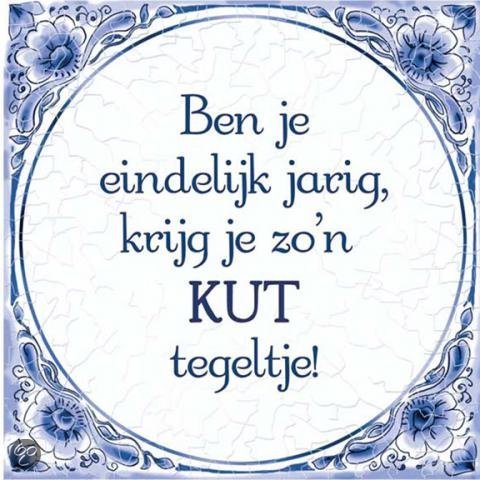 Benza - Delfts Blauwe Spreukentegel - Ben je eindelijk jarig, krijg je zon KUT tegeltje!