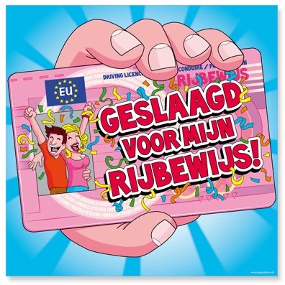 Huldeschild-rijbewijs