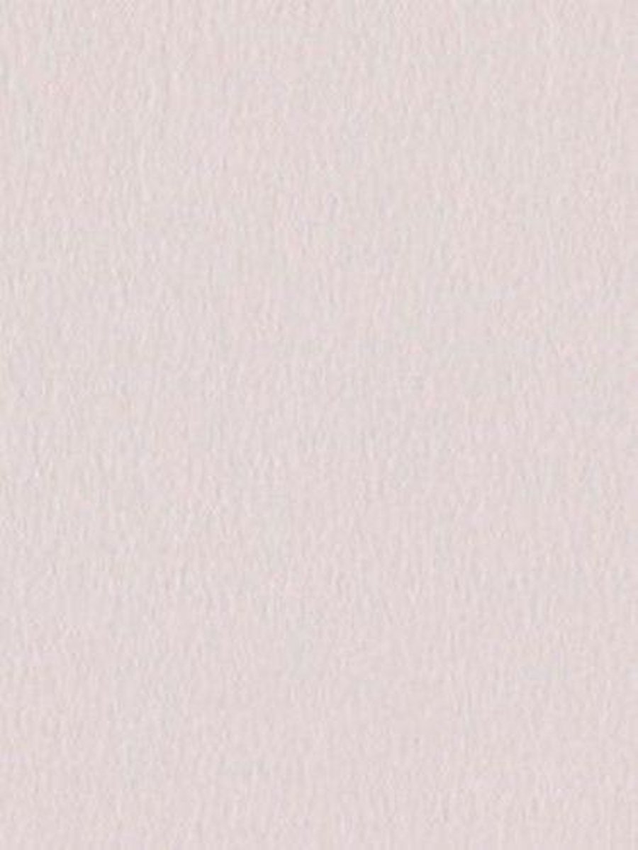 Kopieerpapier papicolor a4 100gr lichtroze