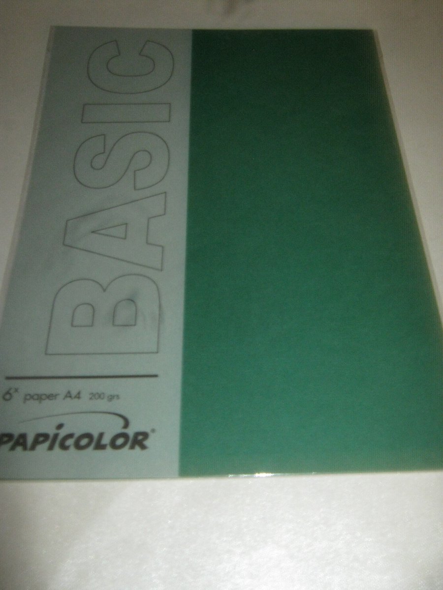 Papicolor 6 stuks vellen A4 karton 200grs kerstgroen