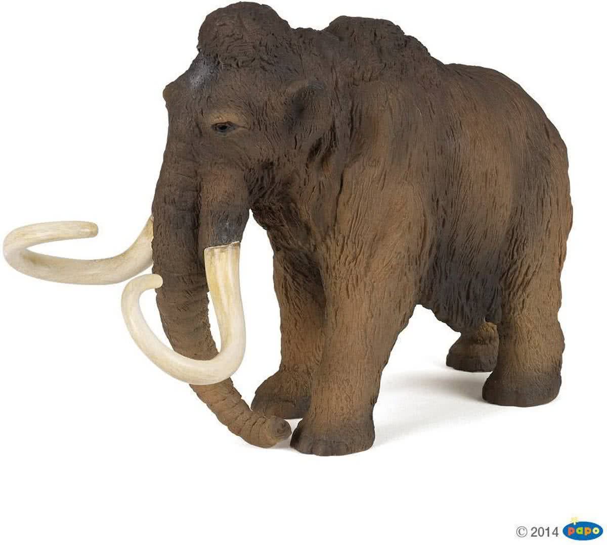 Papo Reuzenmammoet