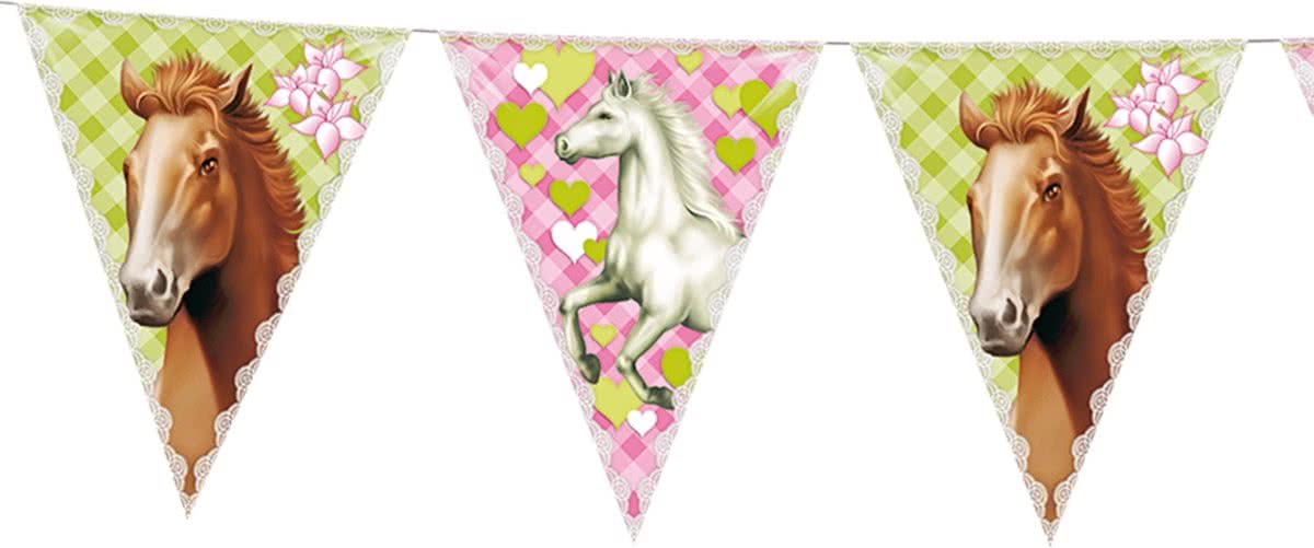 Vlaggenlijn Paarden 6 Meter