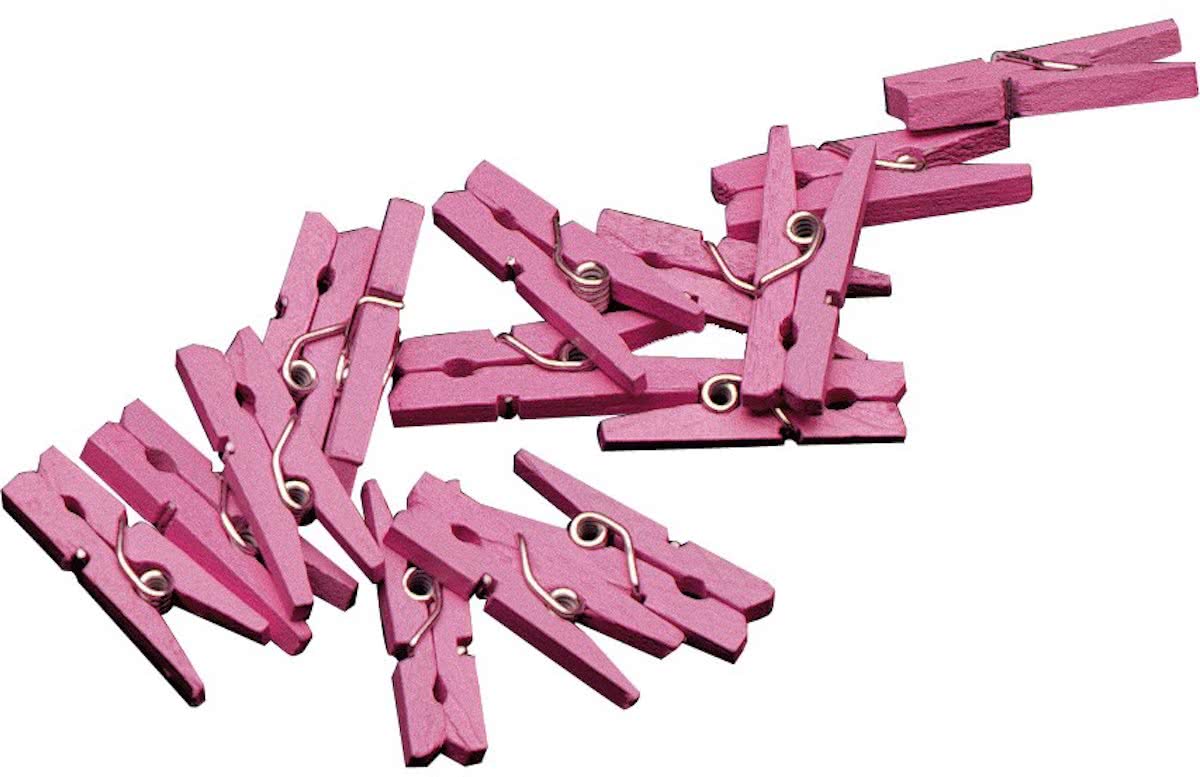 Mini Geboorte Knijpertjes Roze (20ST)