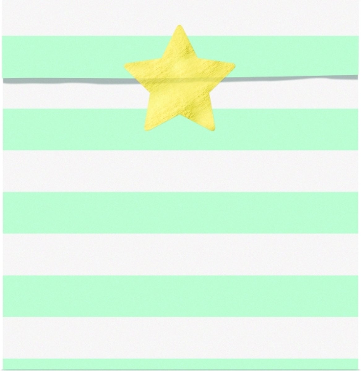 6 uitdeelzakjes Yummy - Mint 13 x 14 cm
