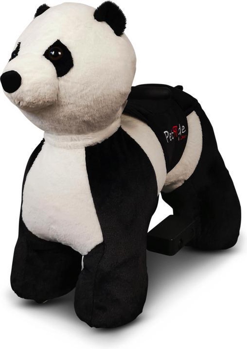  , elektrisch rijdende Panda