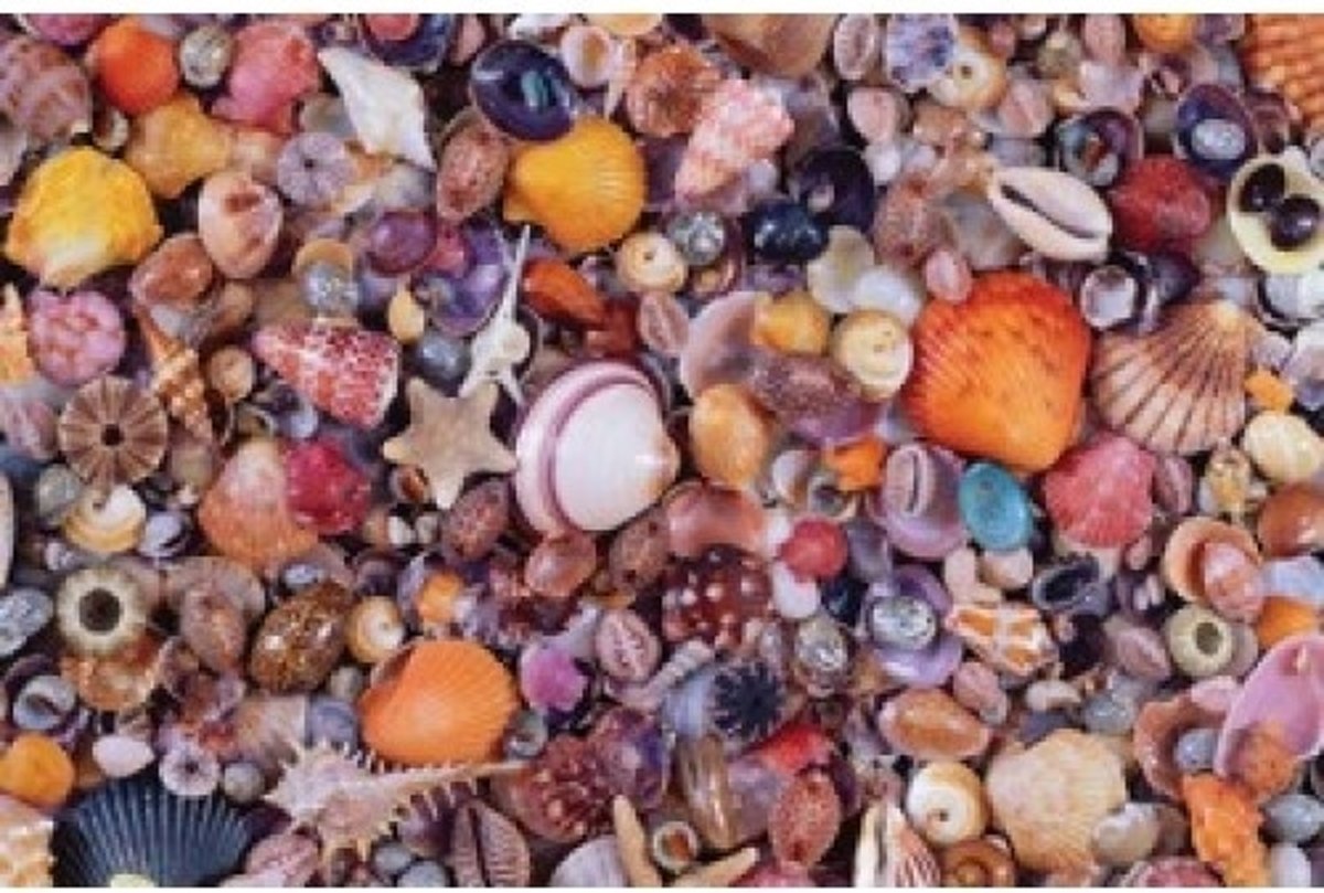 Piatnik, Schelpen,1000 stukjes, 566349