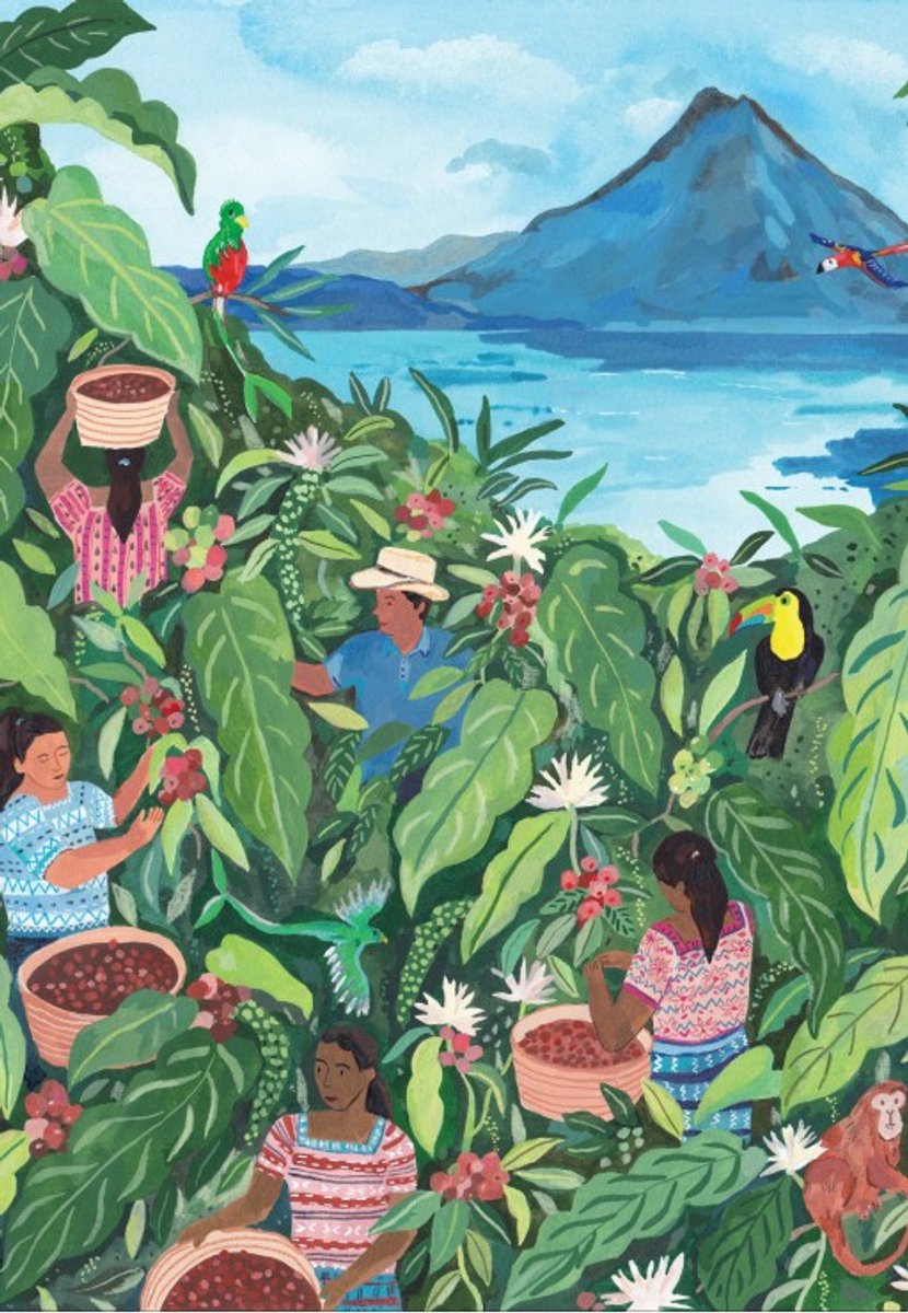 Pieces & Peace legpuzzel Guatemala 1000 stukjes kleurrijk speelgoed.