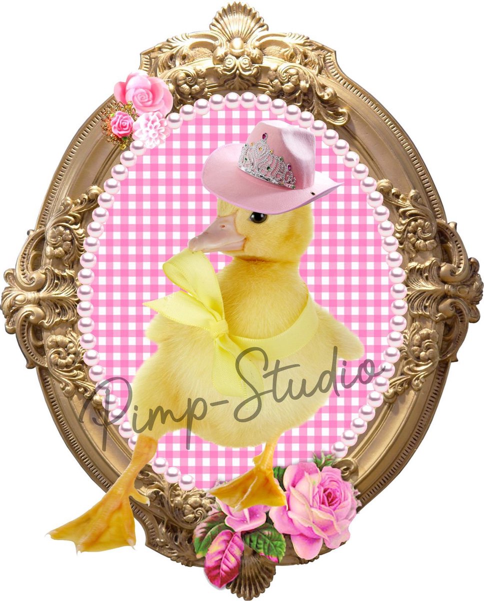 Dancing Duck strijkapplicatie