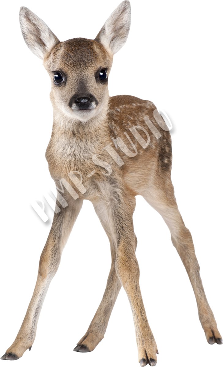 Hertje Strijkapplicatie