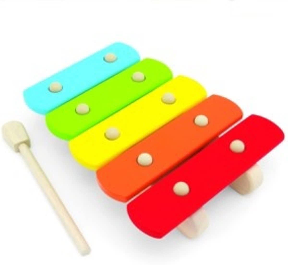 Pintoy Basic Xylofoon