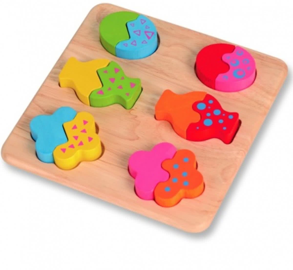 Pintoy Vormpuzzel mix en match