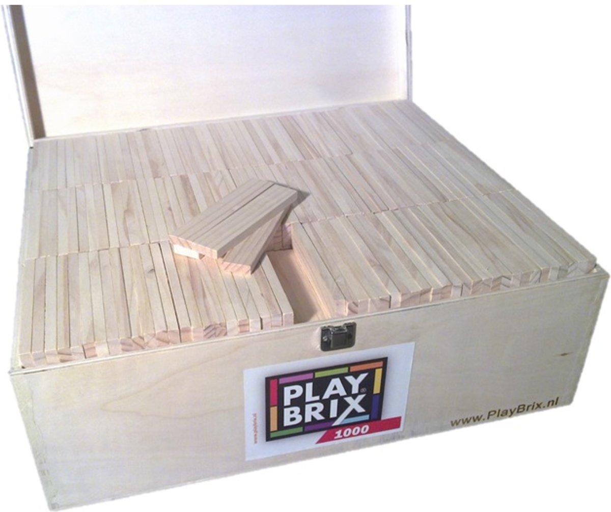 PlayBrix bouwplankjes 1000st in kist